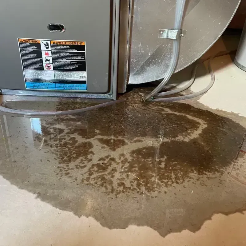 Appliance Leak Cleanup in Lewis County, TN